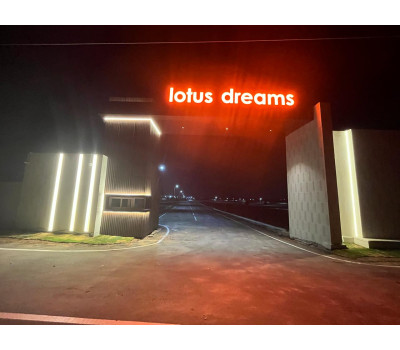 Lotus Dreams Lotus Dreams